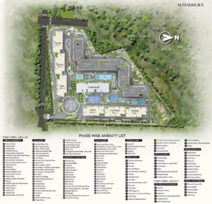 Project Plan 1