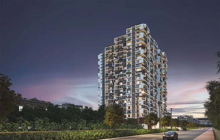 Pavani Felicity Gallery