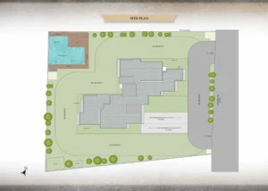 Project Plan 1