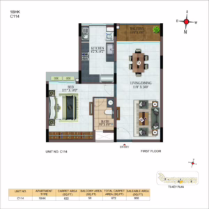 Project Plan 13