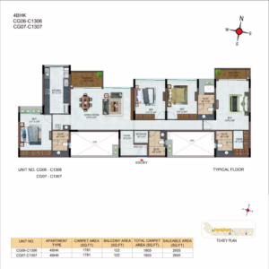 Project Plan 11