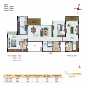 Project Plan 12