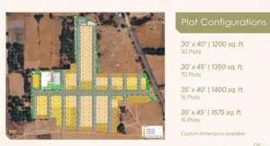 Project Plan 1