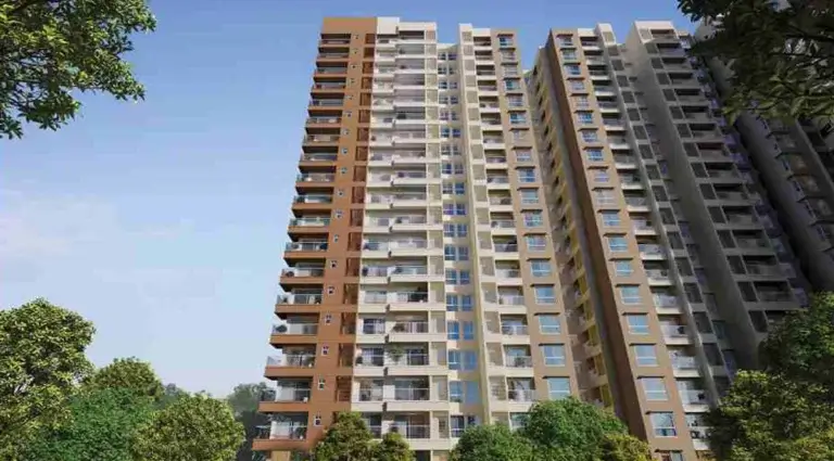 Prestige Evergreen Photos