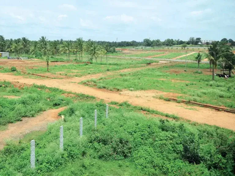 Visakhapatnam Plot Prices Rise 60% on IT Investment Growth