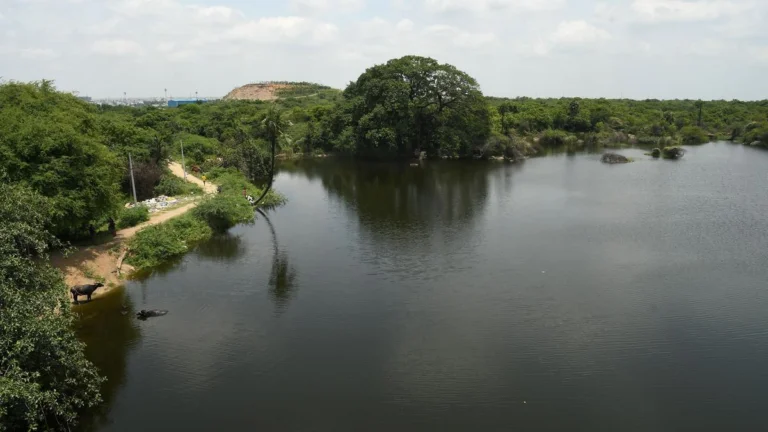 Telangana Amends Building Rules to Rationalise TDR for FTL and Buffer Zone Lands