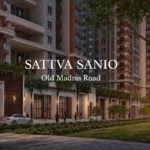 Sattva Sanio