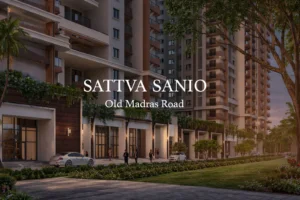 Sattva Sanio