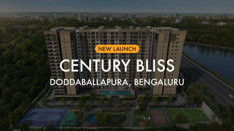 Century Bliss Banner