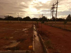 KRERA Directs BDA to Pay ₹22.46 Lakh for Delayed Infrastructure in Bengaluru Layout